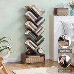 Tree Shaped Book Shelf for Study Room