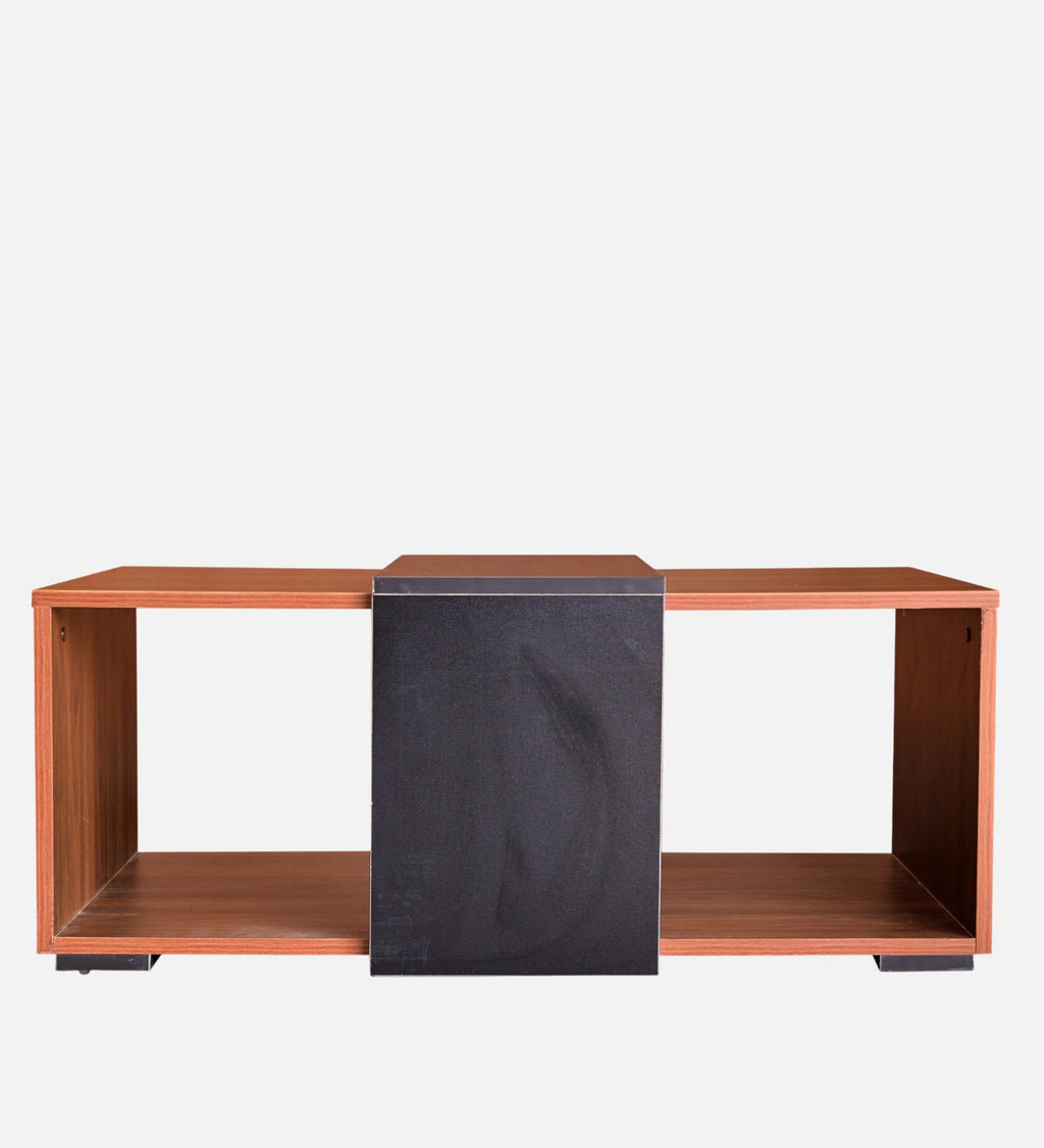 Nile Coffee Table in Dual Finish